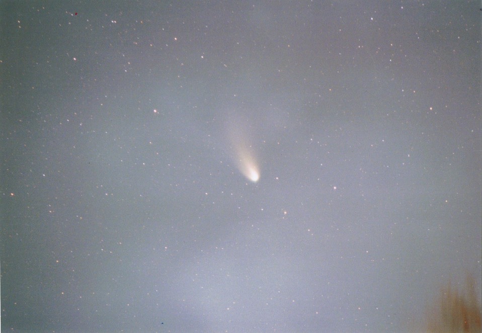 ヘール・ボップ彗星19970223_04